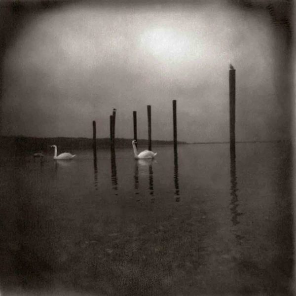 OM -  Conference Of The Birds  LP Verkauf