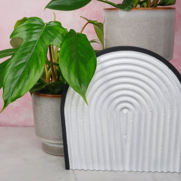 PHILODENDRON FLORIDA GREEN Schn?ppchen – Bild 5