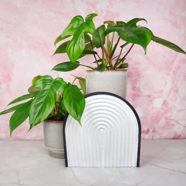 PHILODENDRON FLORIDA GREEN Schn?ppchen