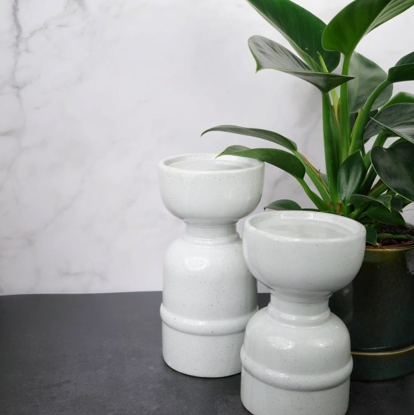 PHILODENDRON GREEN PRINCESS Jetzt online – Bild 3